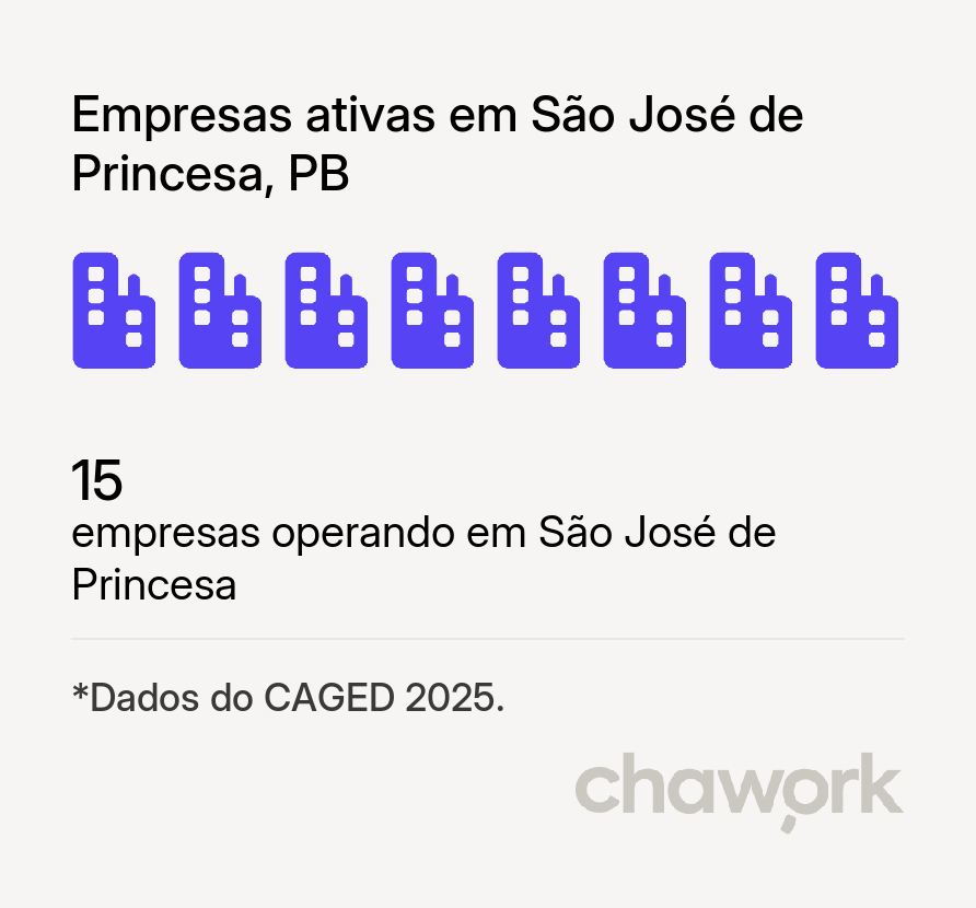 Empresas ativas em São José de Princesa, PB