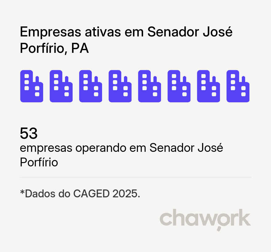 Empresas ativas em Senador José Porfírio, PA