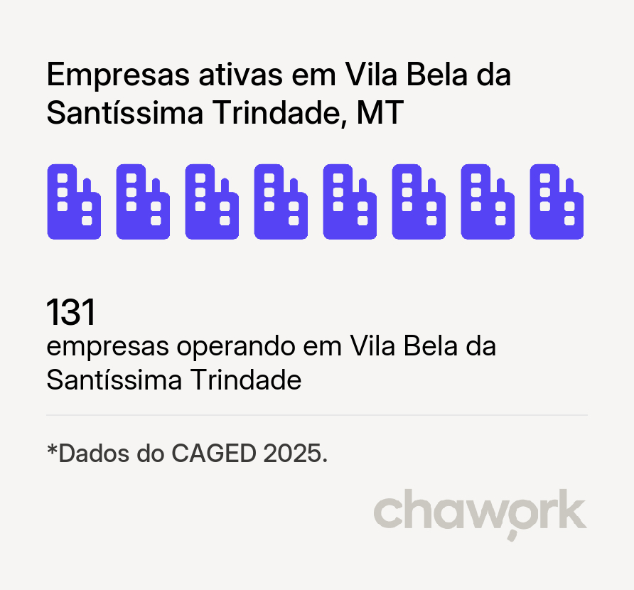Empresas ativas em Vila Bela da Santíssima Trindade, MT