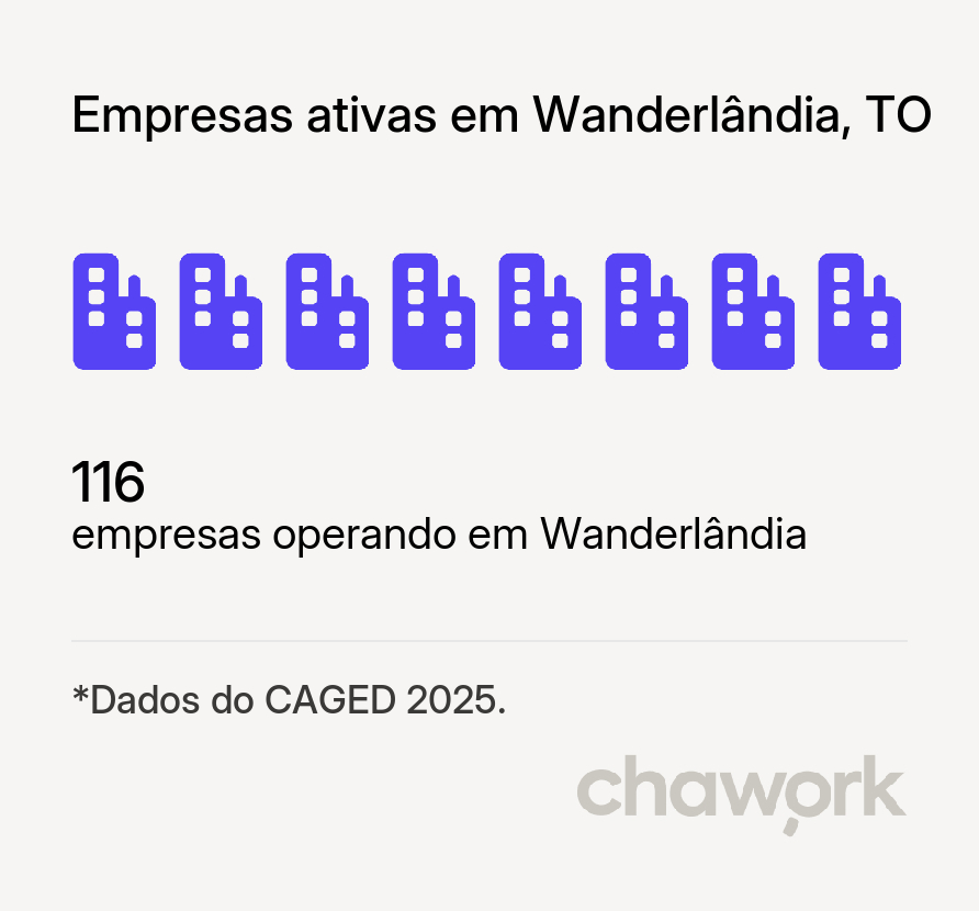 Empresas ativas em Wanderlândia, TO