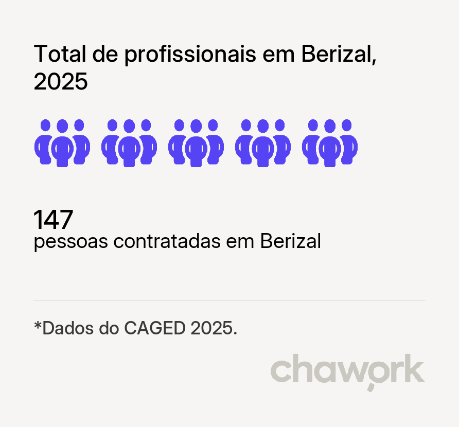 Total de profissionais contratados em Berizal, MG