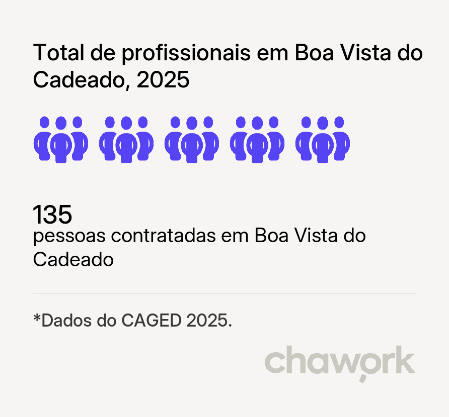 Total de profissionais contratados em Boa Vista do Cadeado, RS