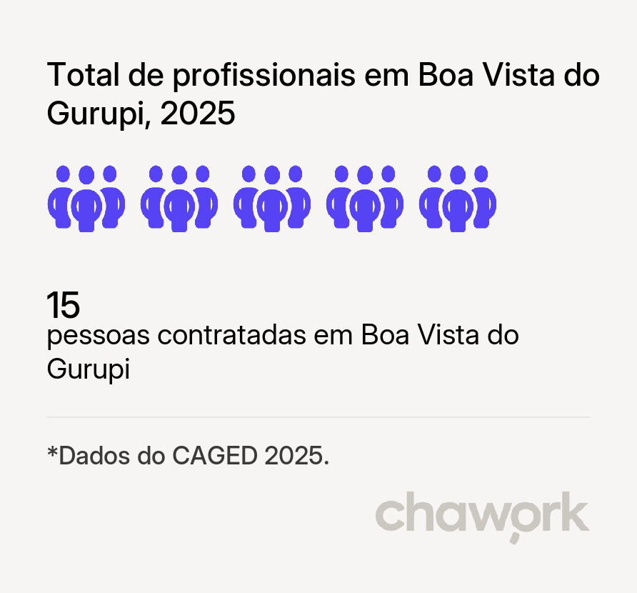 Total de profissionais contratados em Boa Vista do Gurupi, MA
