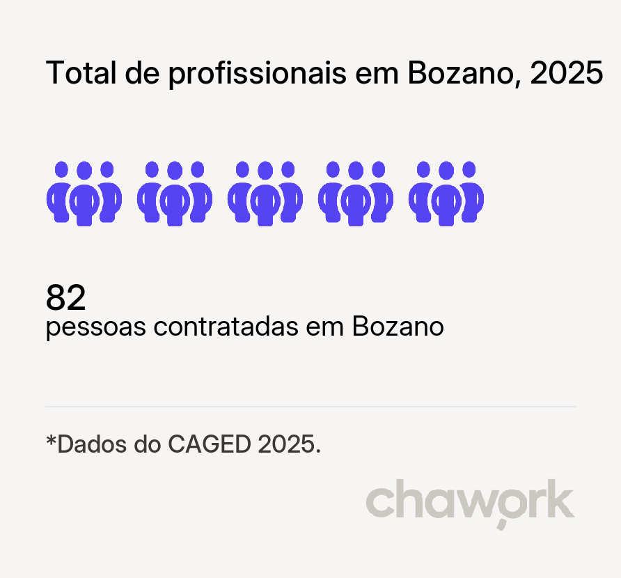 Total de profissionais contratados em Bozano, RS