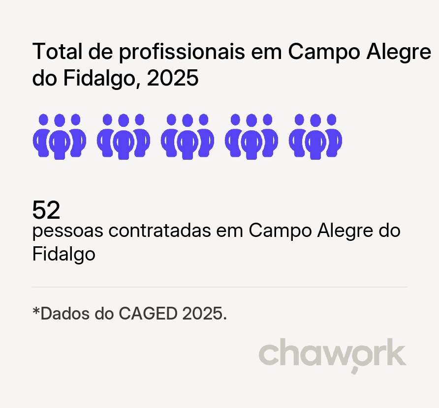 Total de profissionais contratados em Campo Alegre do Fidalgo, PI