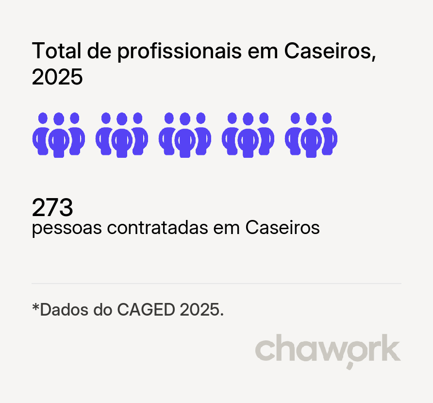 Total de profissionais contratados em Caseiros, RS