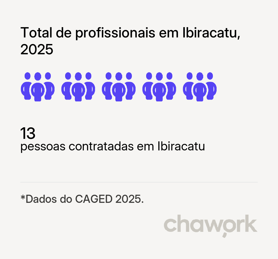 Total de profissionais contratados em Ibiracatu, MG