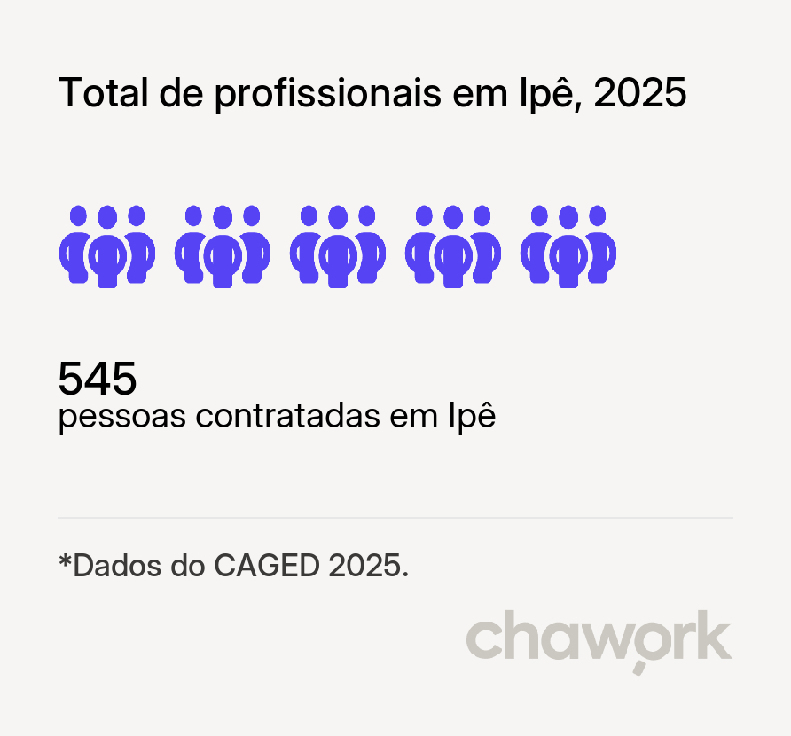 Total de profissionais contratados em Ipê, RS