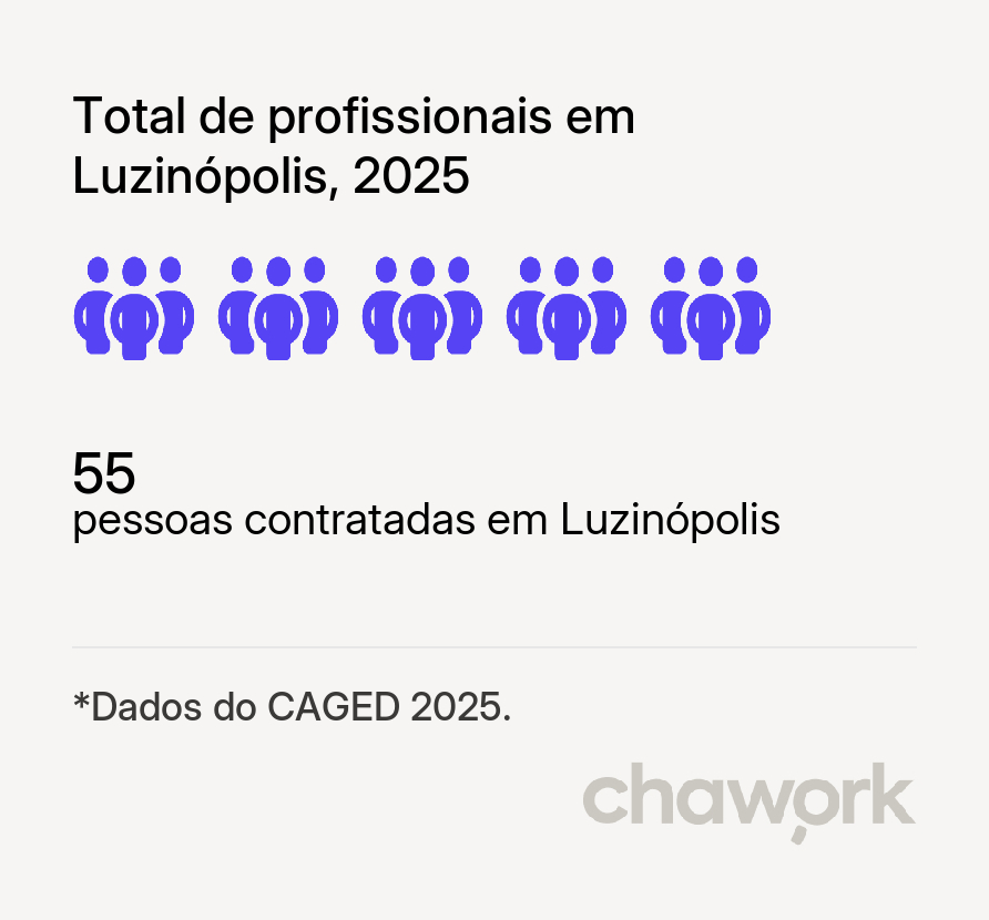 Total de profissionais contratados em Luzinópolis, TO
