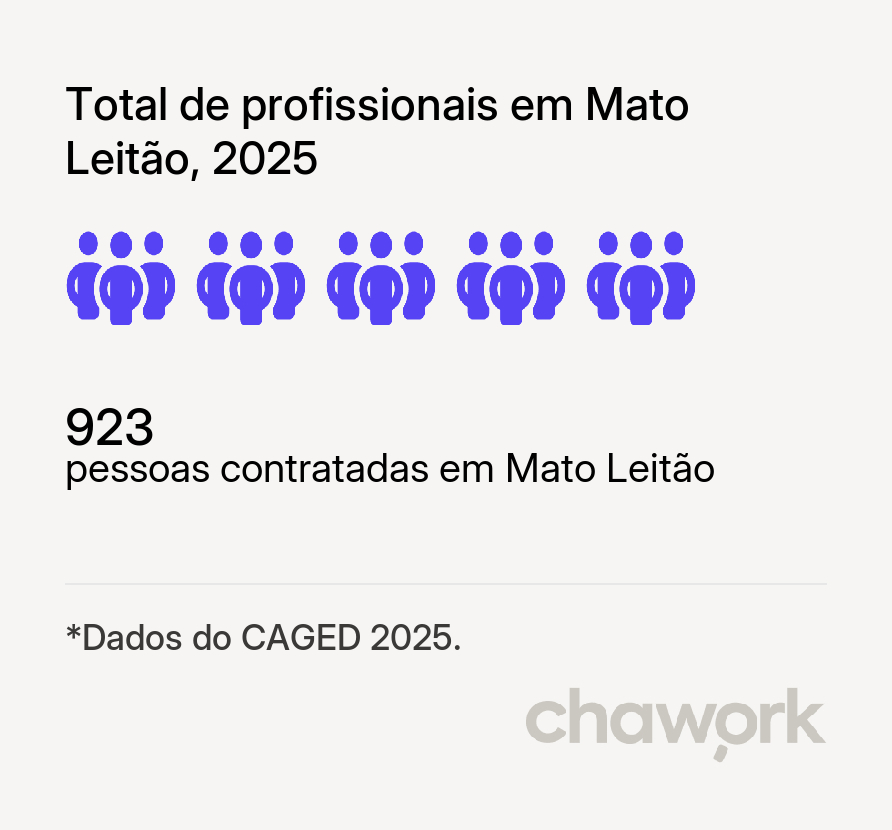 Total de profissionais contratados em Mato Leitão, RS