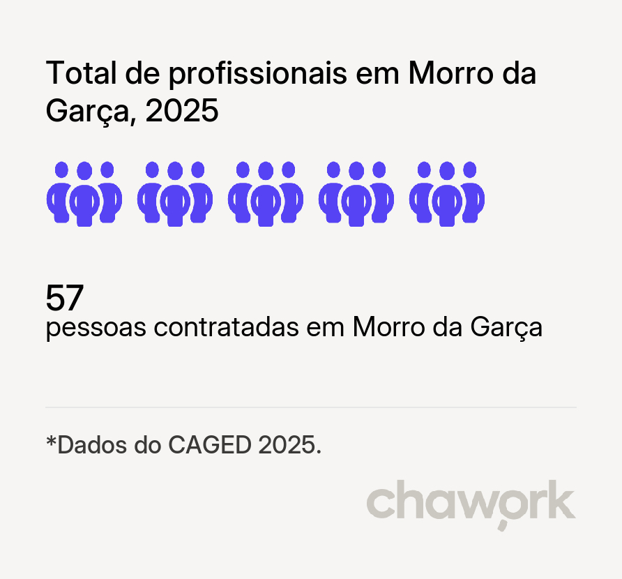 Total de profissionais contratados em Morro da Garça, MG