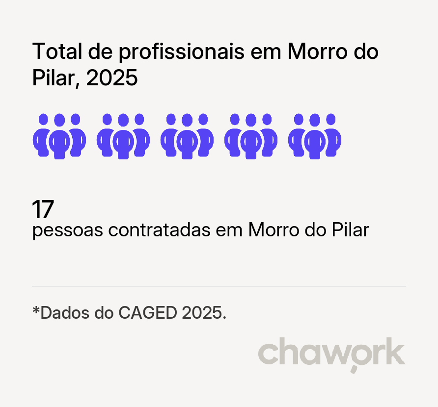 Total de profissionais contratados em Morro do Pilar, MG