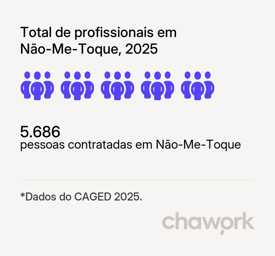 Total de profissionais contratados em Não-Me-Toque, RS