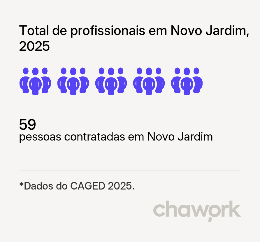 Total de profissionais contratados em Novo Jardim, TO
