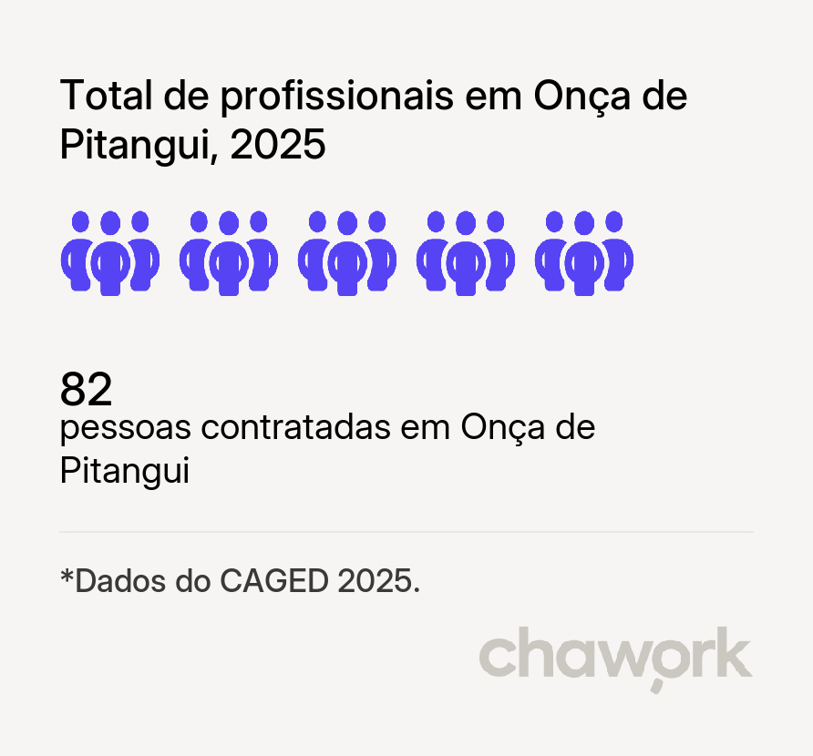Total de profissionais contratados em Onça de Pitangui, MG
