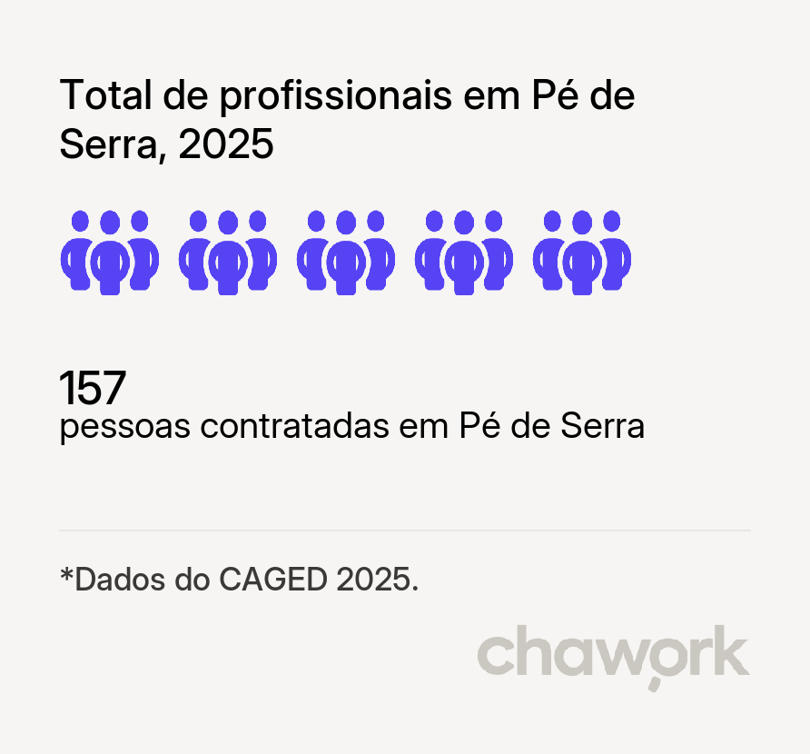 Total de profissionais contratados em Pé de Serra, BA