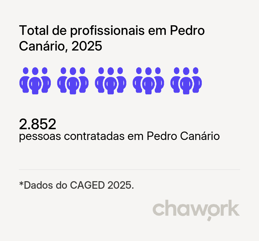 Total de profissionais contratados em Pedro Canário, ES