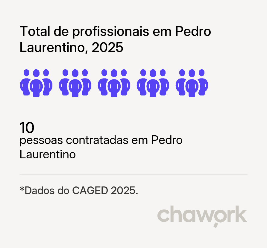 Total de profissionais contratados em Pedro Laurentino, PI