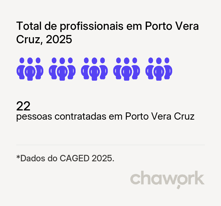 Total de profissionais contratados em Porto Vera Cruz, RS