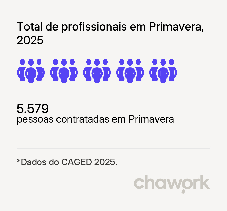 Total de profissionais contratados em Primavera, PE
