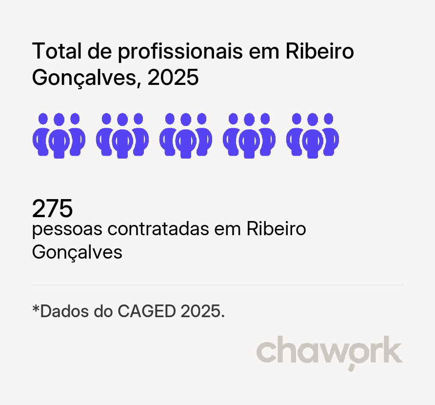 Total de profissionais contratados em Ribeiro Gonçalves, PI