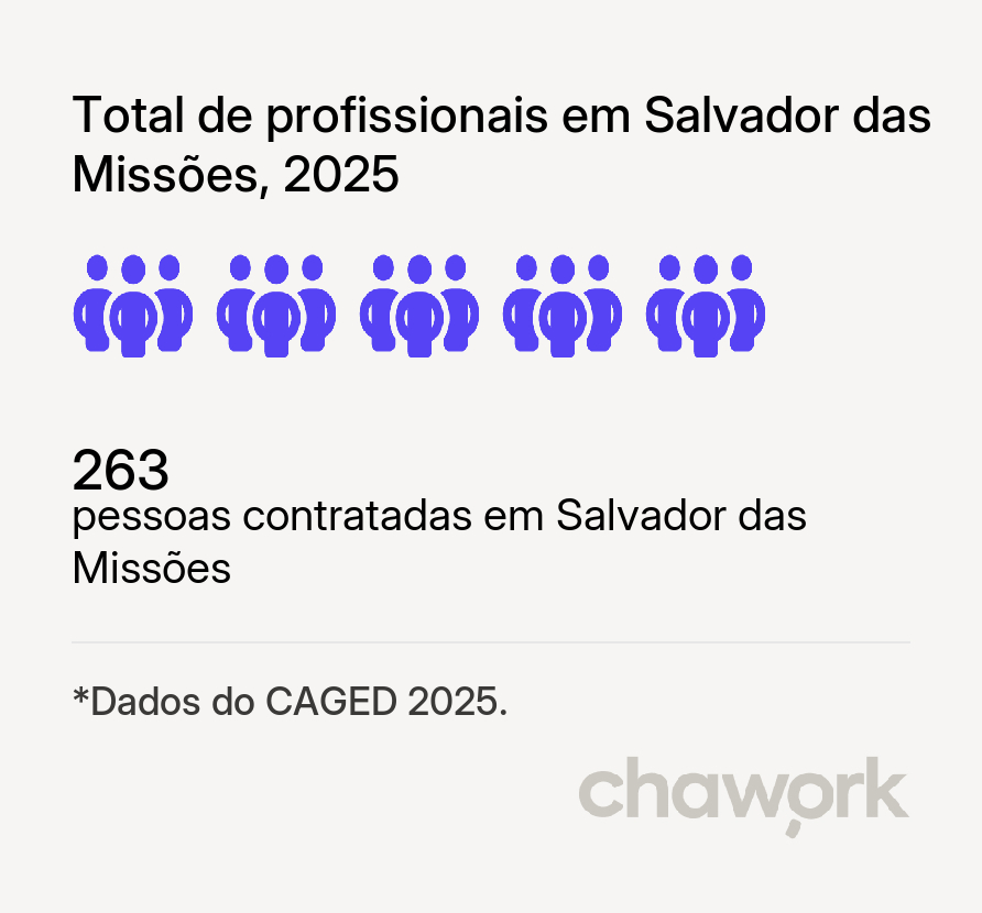 Total de profissionais contratados em Salvador das Missões, RS