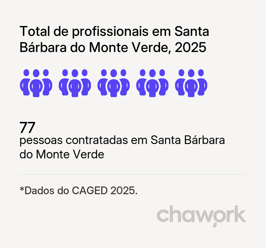 Total de profissionais contratados em Santa Bárbara do Monte Verde, MG