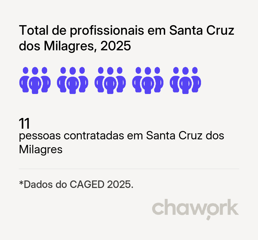 Total de profissionais contratados em Santa Cruz dos Milagres, PI