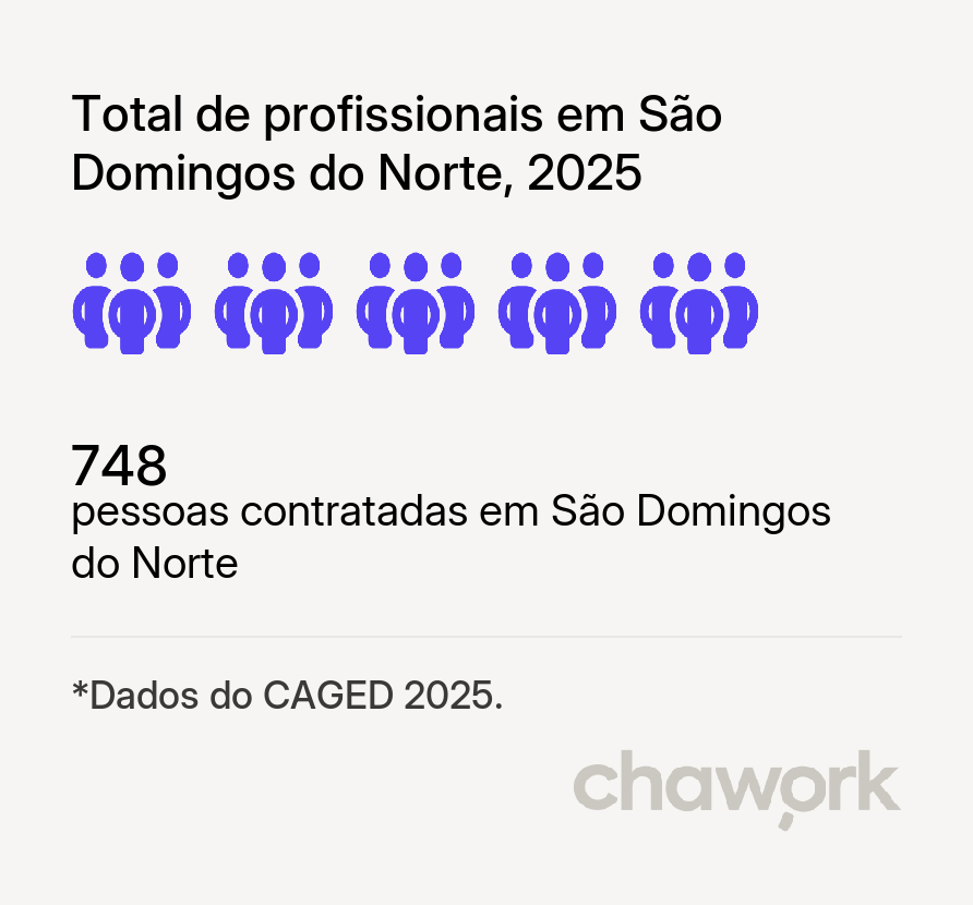 Total de profissionais contratados em São Domingos do Norte, ES