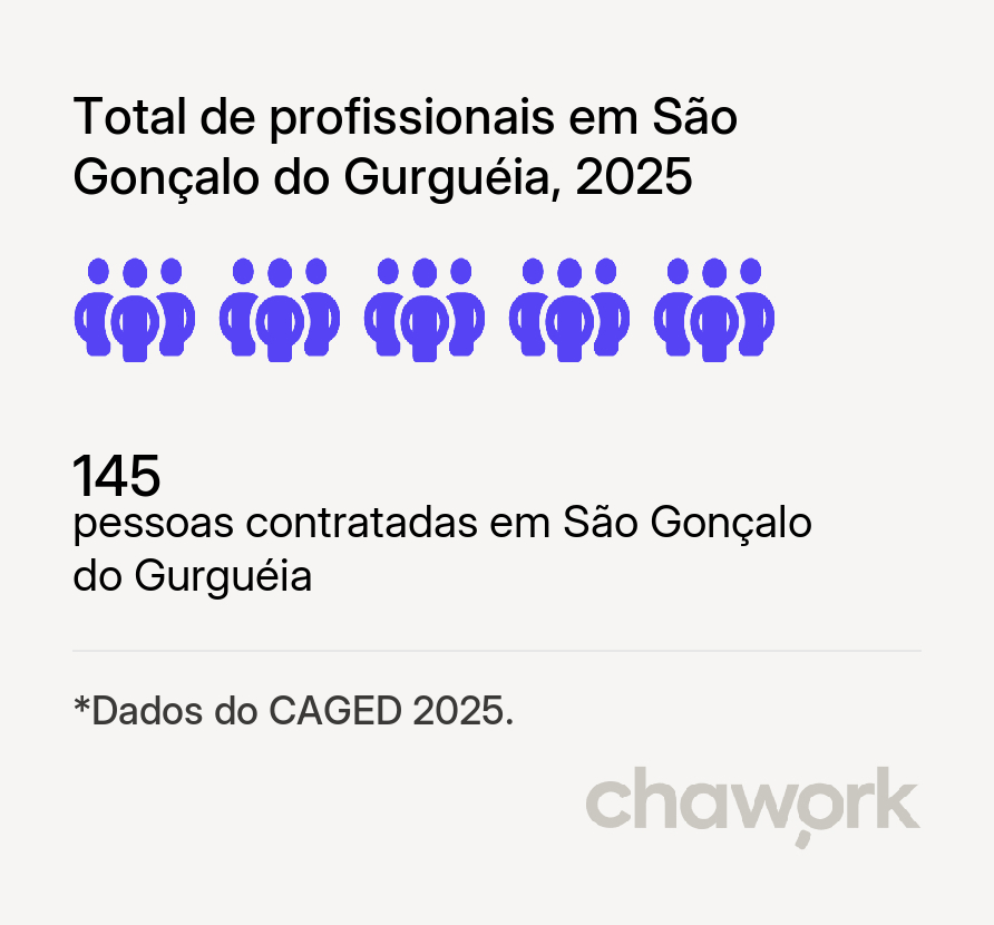 Total de profissionais contratados em São Gonçalo do Gurguéia, PI