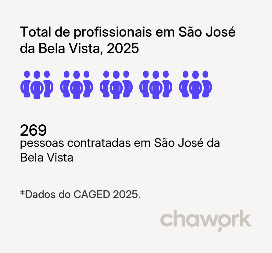 Total de profissionais contratados em São José da Bela Vista, SP