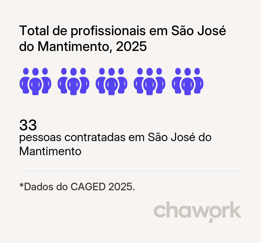 Total de profissionais contratados em São José do Mantimento, MG