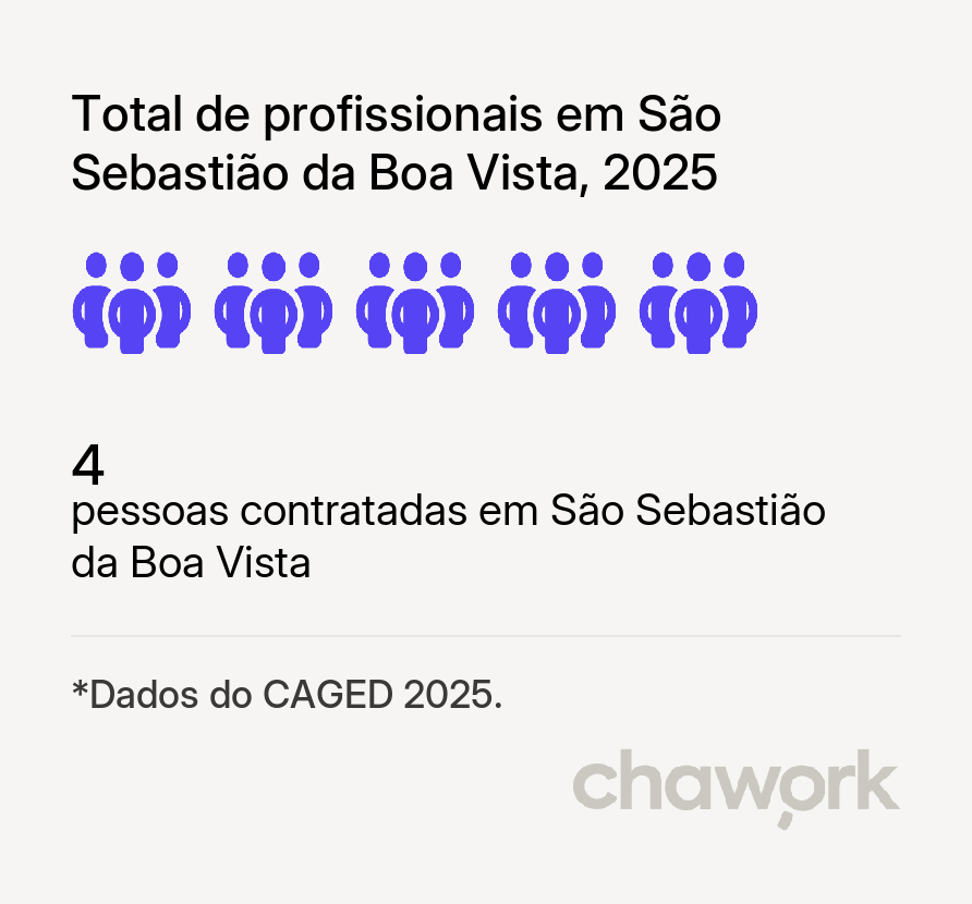 Total de profissionais contratados em São Sebastião da Boa Vista, PA