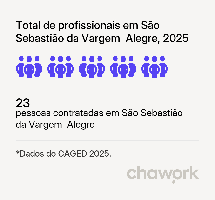 Total de profissionais contratados em São Sebastião da Vargem Alegre, MG