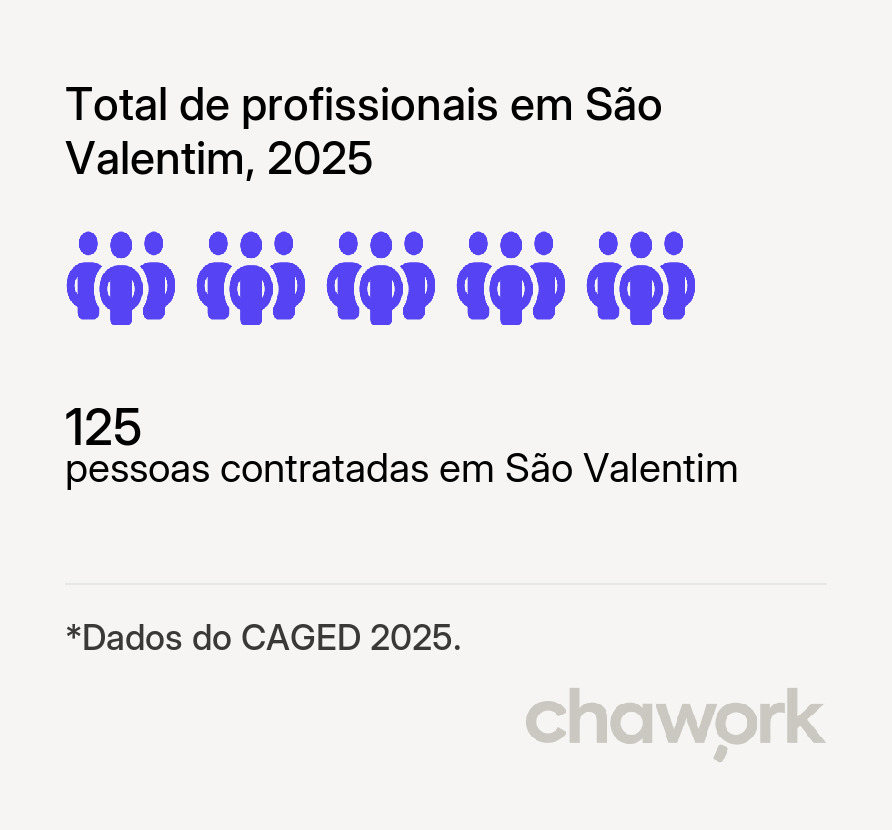 Total de profissionais contratados em São Valentim, RS
