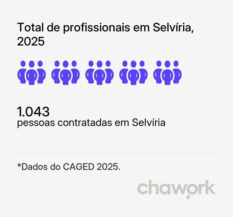 Total de profissionais contratados em Selvíria, MS