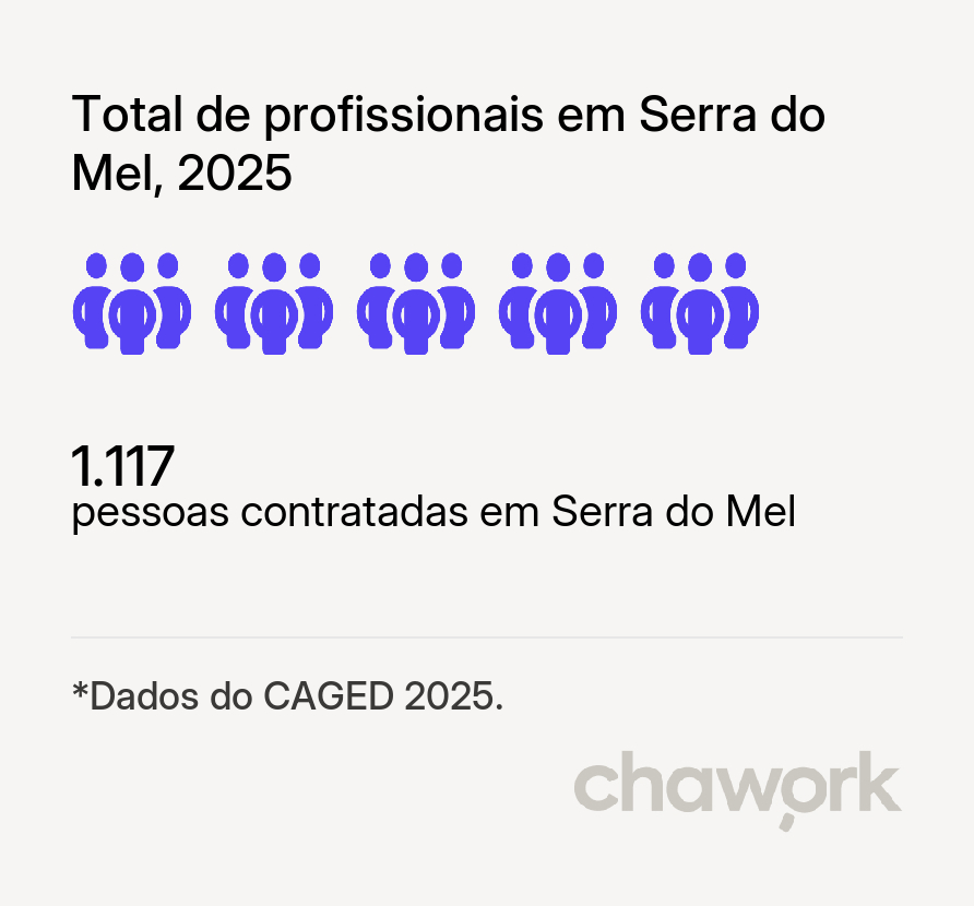 Total de profissionais contratados em Serra do Mel, RN