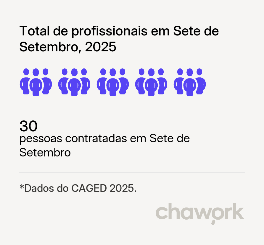 Total de profissionais contratados em Sete de Setembro, RS