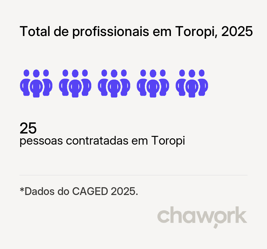 Total de profissionais contratados em Toropi, RS